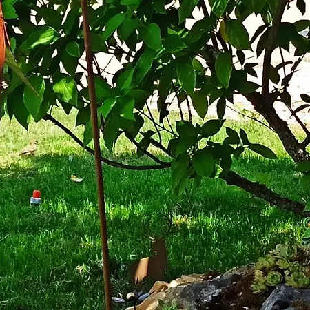 Alb-biosphaere-ferienwohnung Apartment Ingstetten