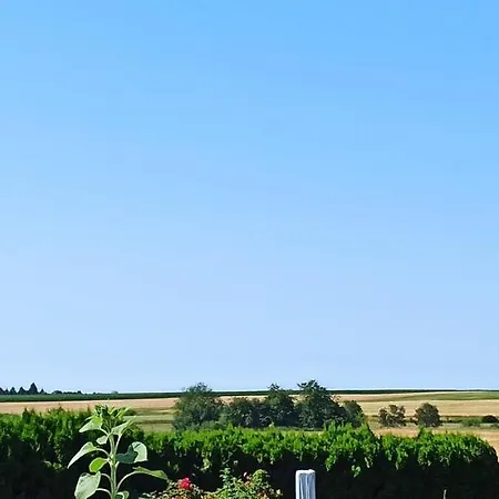 Alb-biosphaere-ferienwohnung Apartment