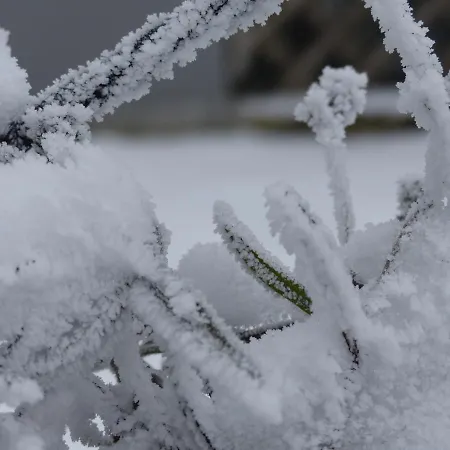 Alb-biosphaere-ferienwohnung Ingstetten