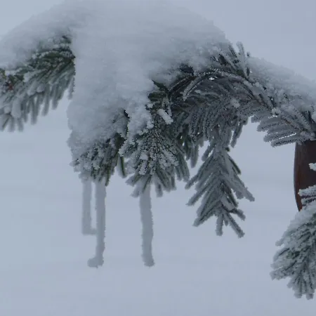 公寓 Alb-biosphaere-ferienwohnung Ingstetten