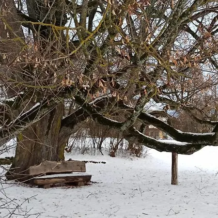 Alb-biosphaere-ferienwohnung 公寓 *