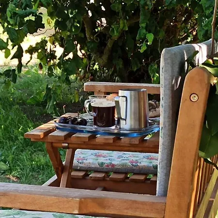 公寓 Alb-biosphaere-ferienwohnung *