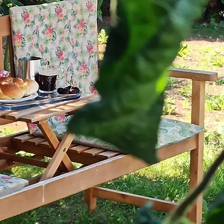 公寓 Alb-biosphaere-ferienwohnung