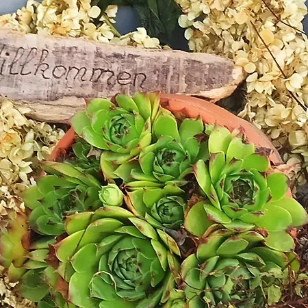 Alb-biosphaere-ferienwohnung *