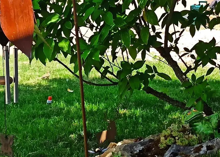 Alb-biosphäre-ferienwohnung Apartment Ingstetten