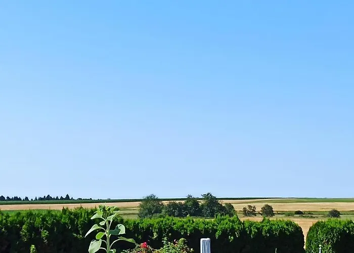 Alb-biosphäre-ferienwohnung Apartment