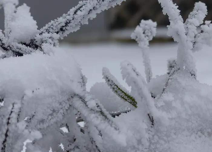Alb-biosphaere-ferienwohnung Ingstetten