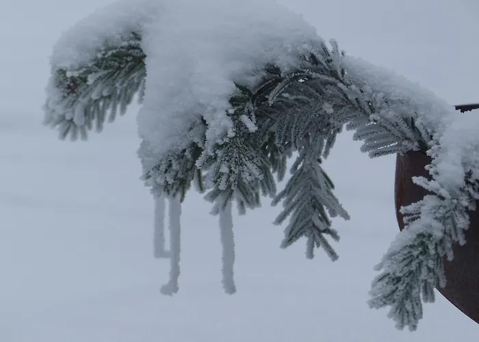 Apartment Alb-biosphäre-ferienwohnung Ingstetten