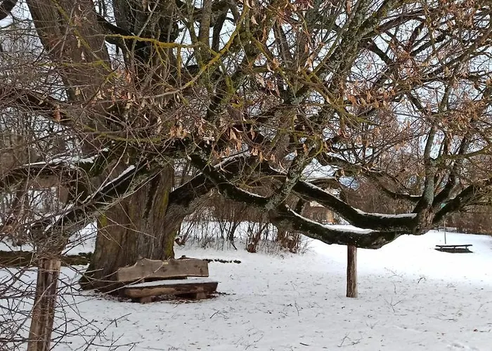 Alb-biosphaere-ferienwohnung Apartament *