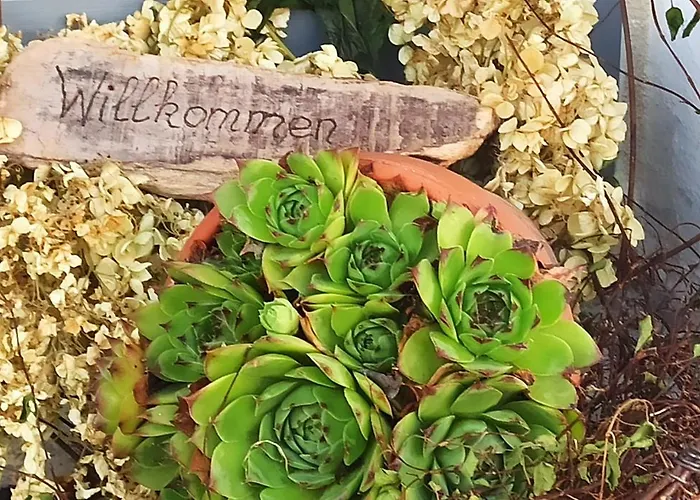 Alb-biosphäre-ferienwohnung *